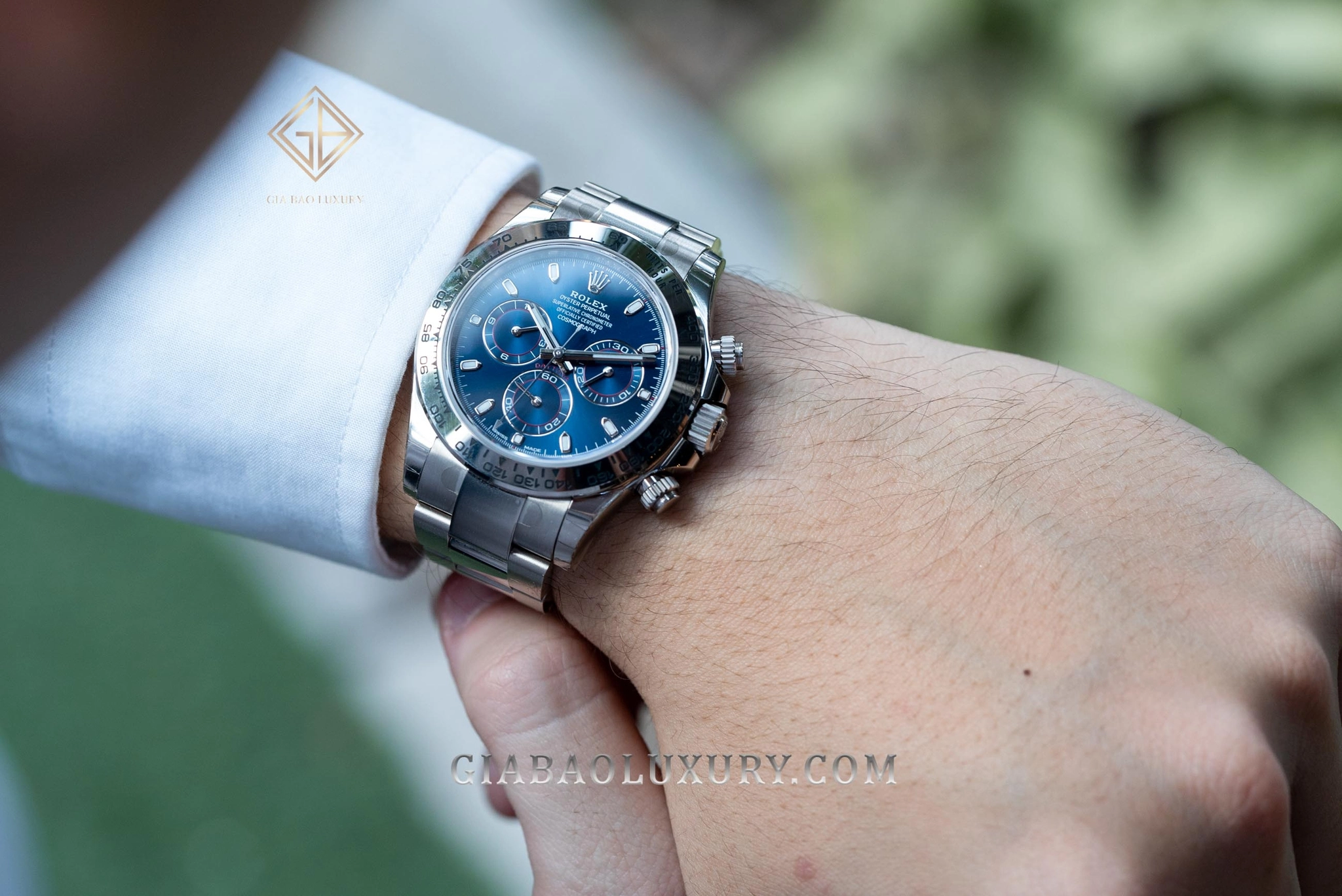 Royal Oak 26331ST và Rolex Daytona 116509: Rolex Daytona 116509 vàng trắng trên cổ tay