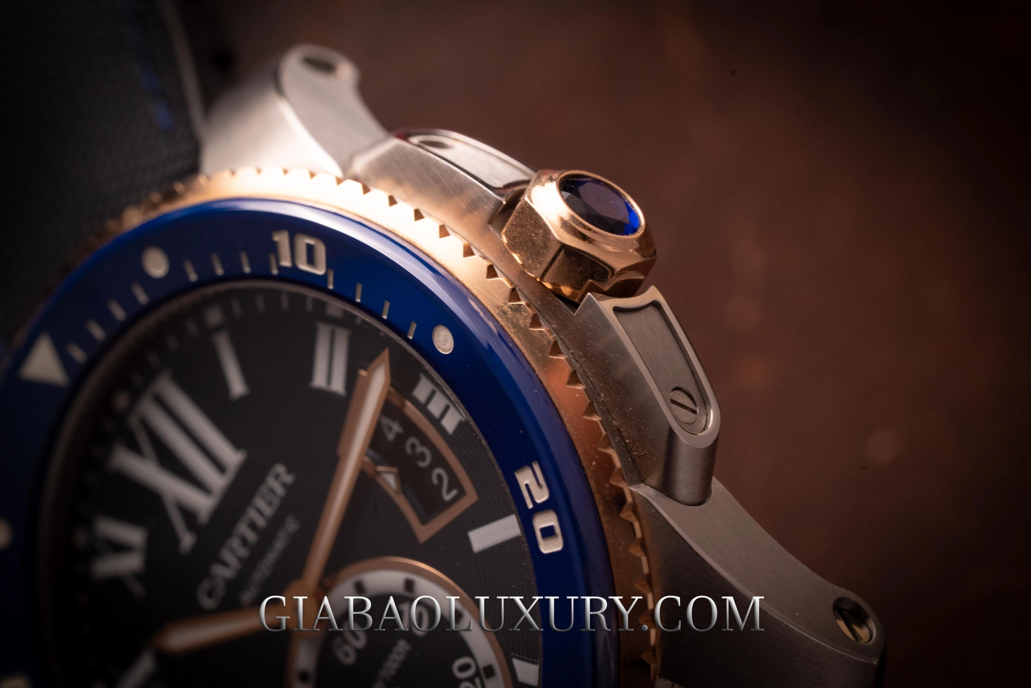 Cartier Diver và Omega Seamaster Diver 300M: cấu trúc bảo vệ núm và nút chỉnh lịch của Cartier Diver