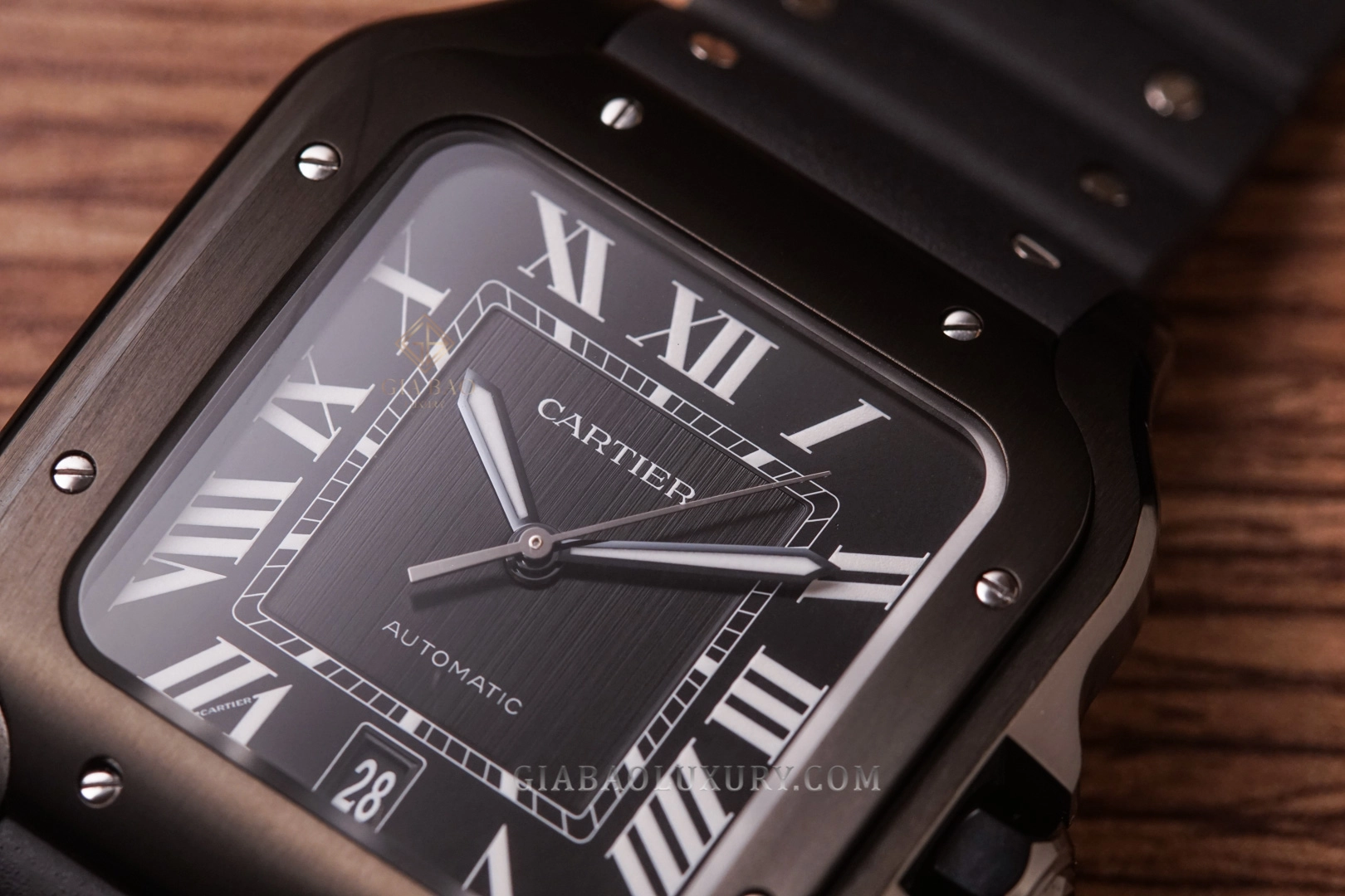 Cartier Santos de Cartier WSSA0039: dây cao su QuickSwitch