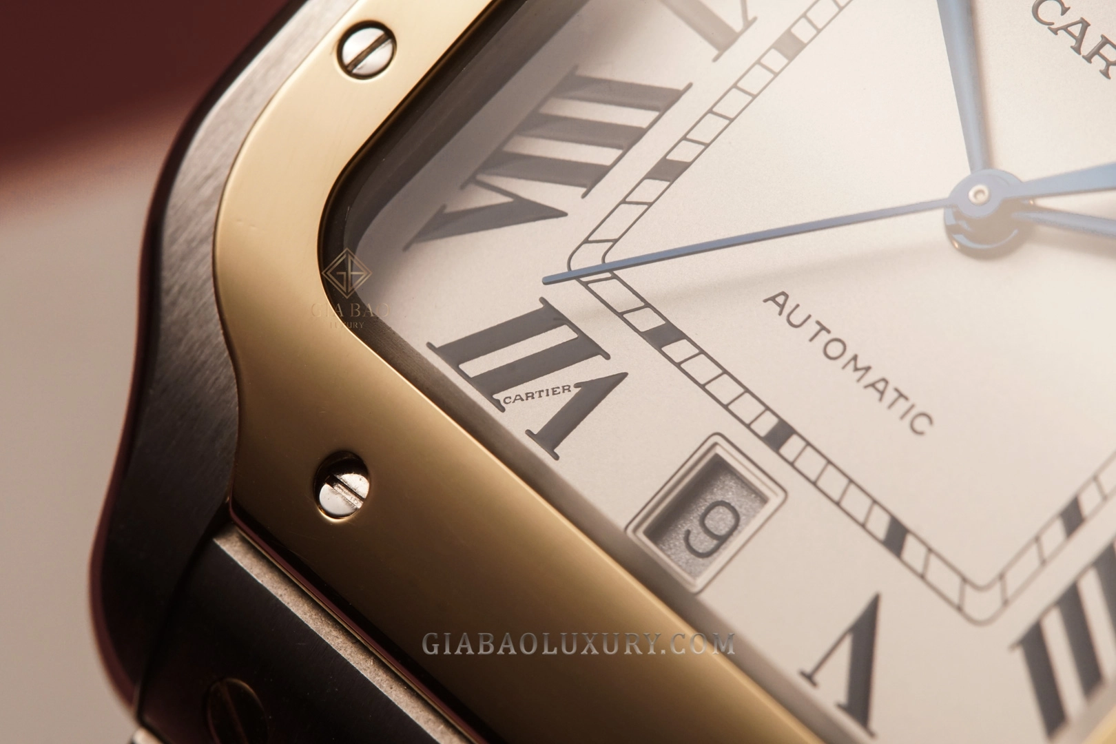 Cận cảnh chữ Cartier ẩn, lịch ngày và minute-track trên W2SA0006