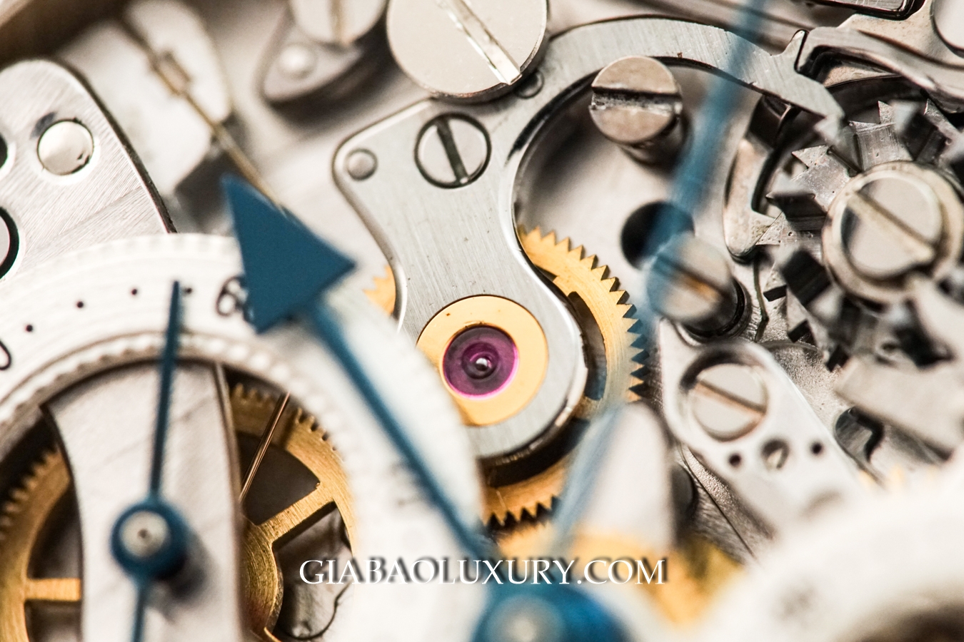 Chi tiết cơ cấu chronograph Daniel Roth DR101