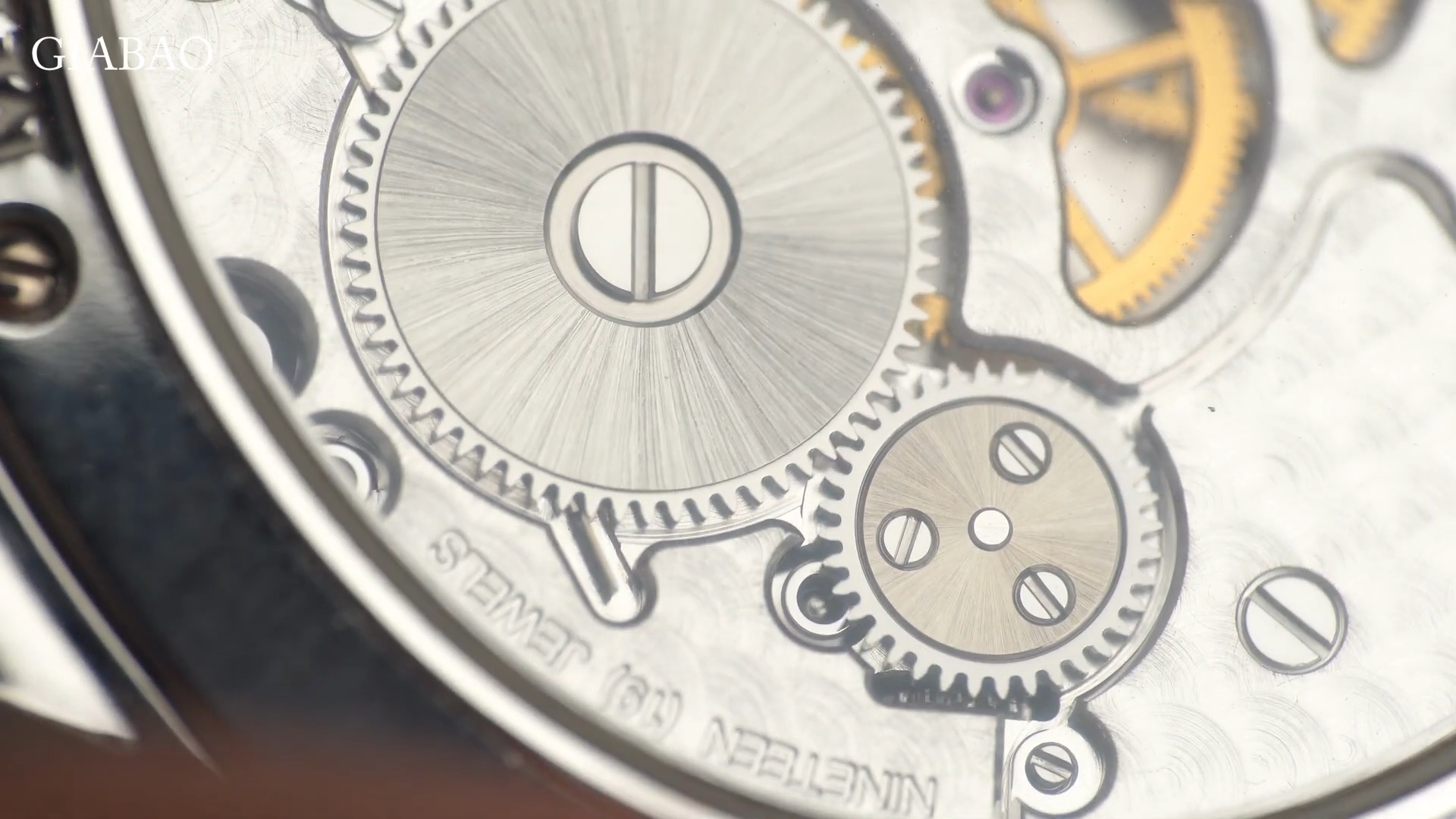 Calibre 5201 trong AP Millenary 77247BC