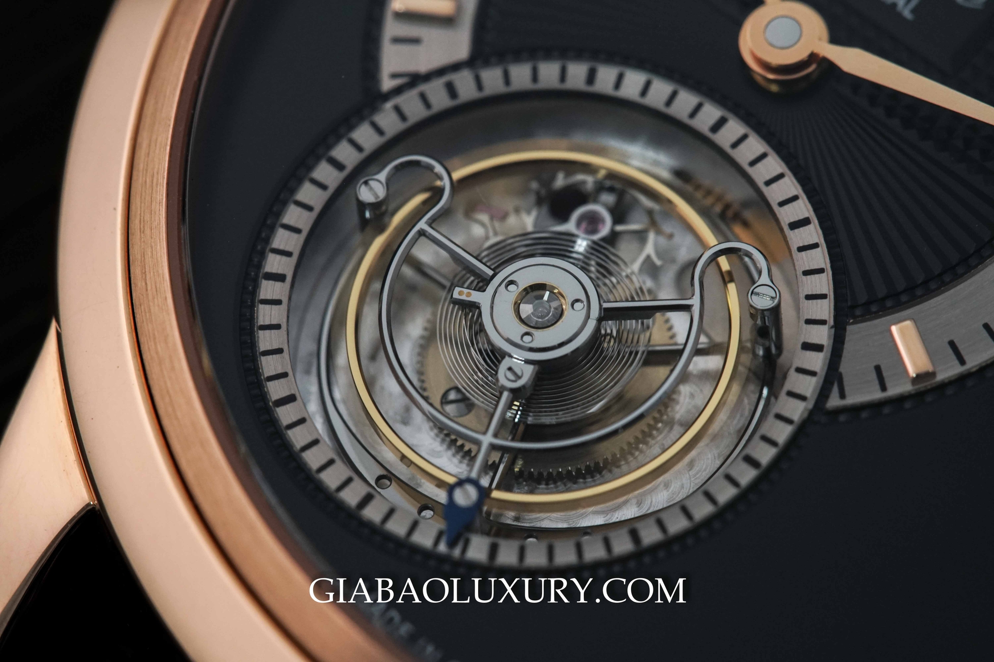Tourbillon bay trên PanoMaticTourbillon 93-01