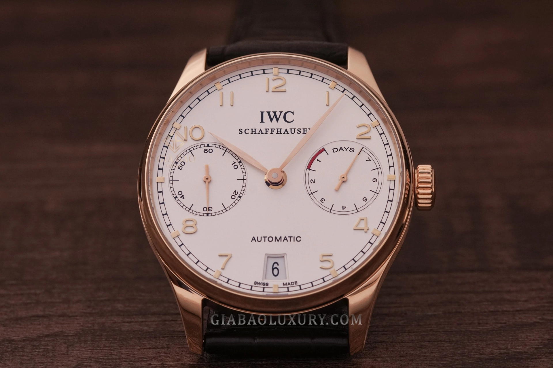 IWC Portugieser Automatic IW5001-01: toàn cảnh mặt số bạc và vỏ vàng hồng