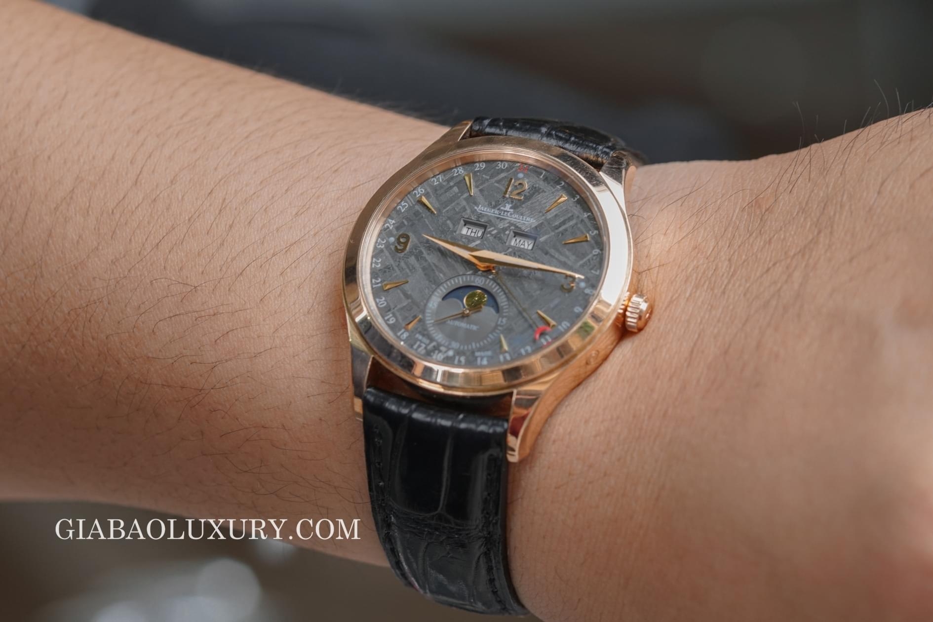 Master Calendar Q1552540 trên cổ tay