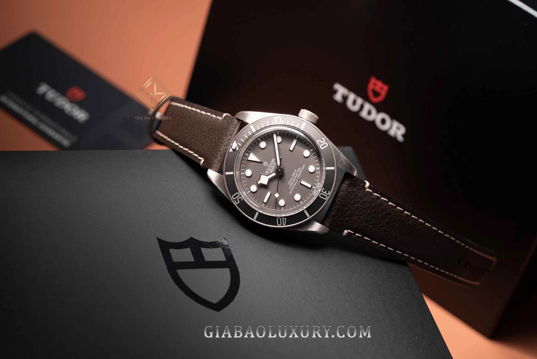 Đồng hồ đầu tiên: Rolex, Omega, Panerai hay Tudor?: Tudor Black Bay trên dây da trong ảnh tư liệu Gia Bảo