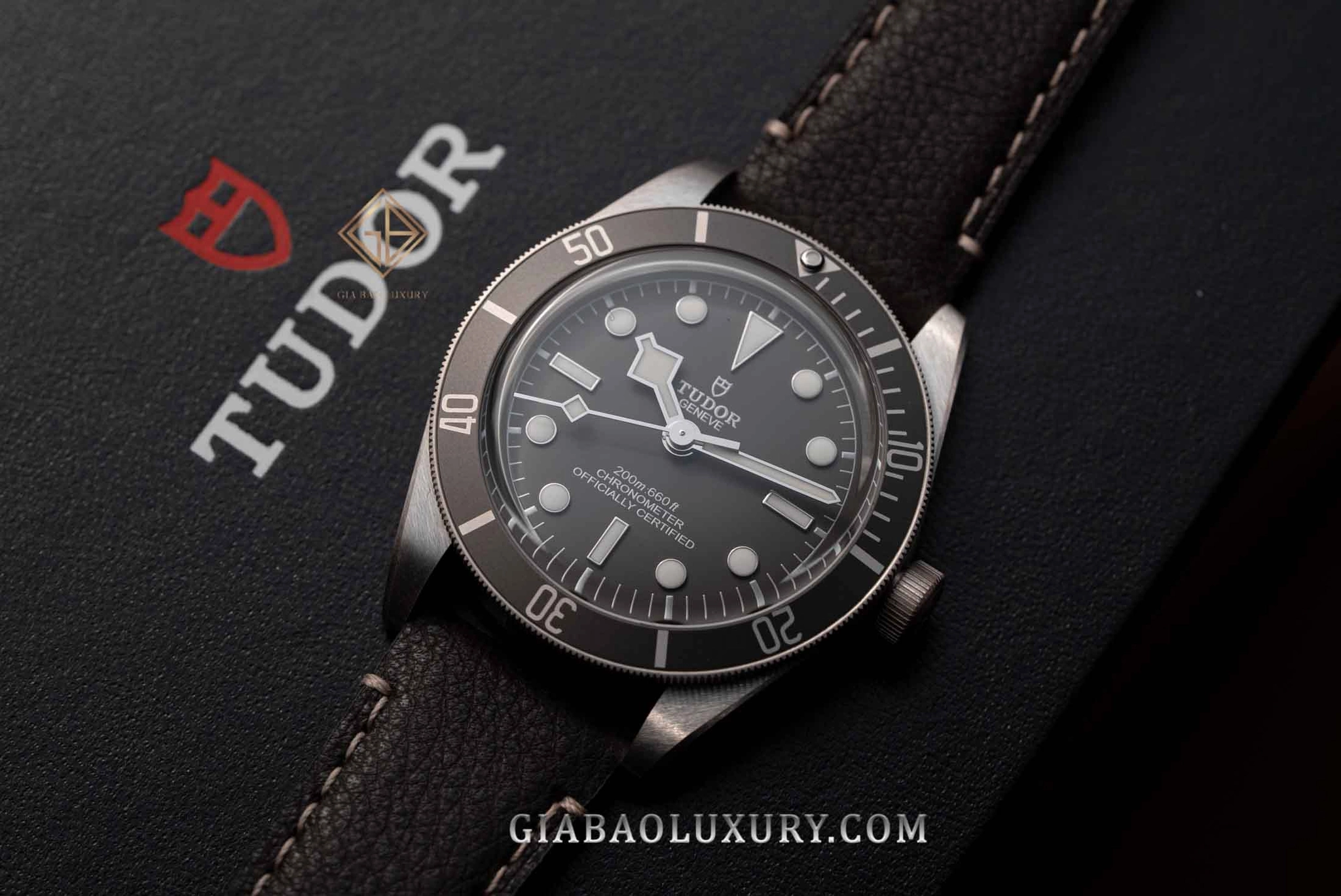 Đồng hồ đầu tiên: Rolex, Omega, Panerai hay Tudor?: Tudor Black Bay nhìn chính diện với bezel lặn
