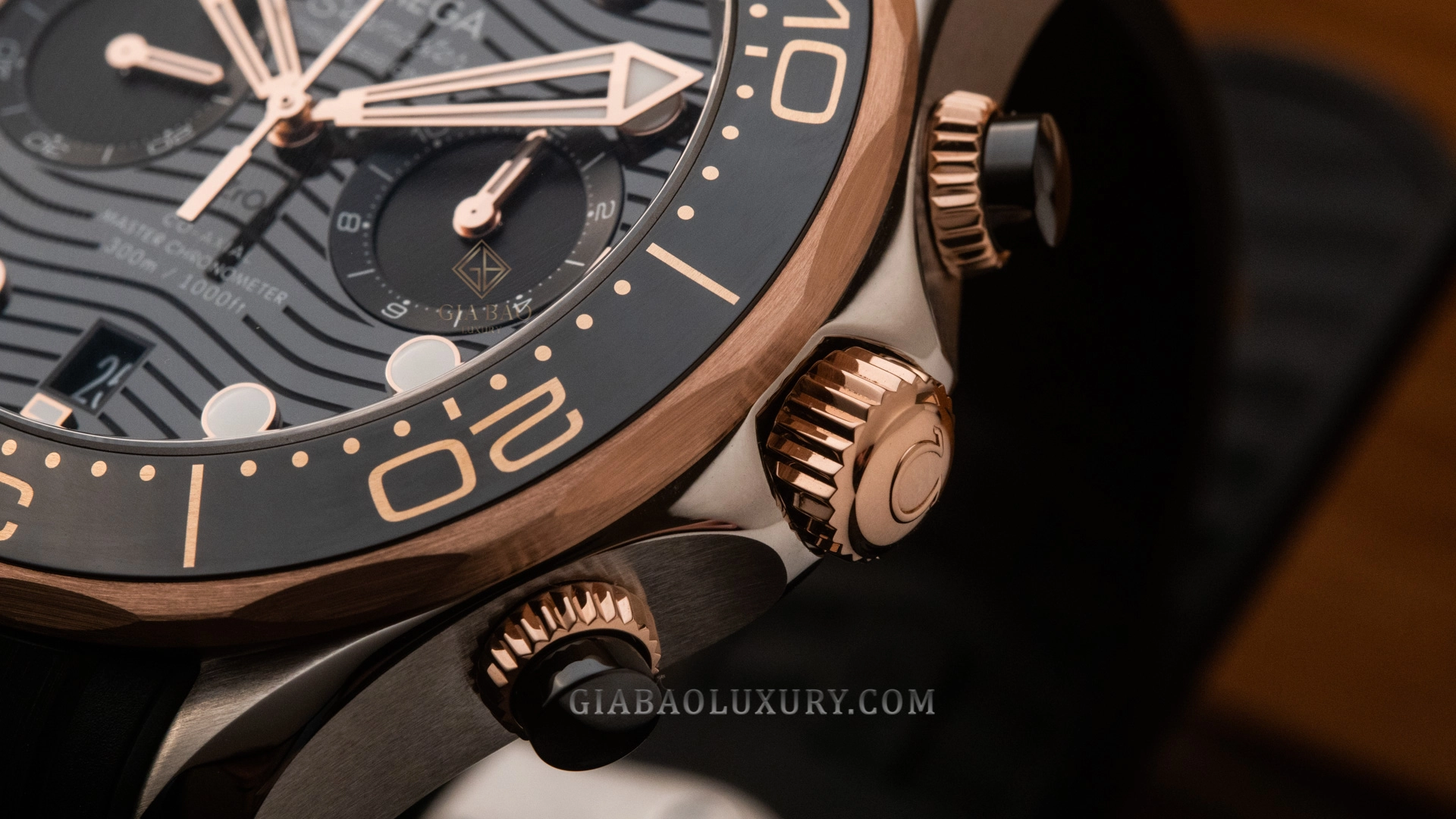 Omega Seamaster Diver 300M Chronograph 210.22.44.51.01.001: Nút chronograph gốm và chi tiết Sedna Gold trên vỏ