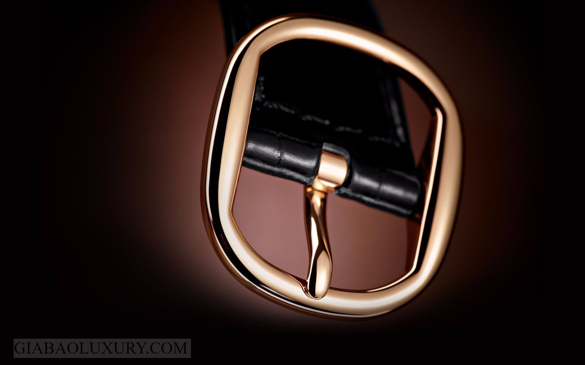 Patek Philippe Golden Ellipse 5738R-001 — ảnh chi tiết 2