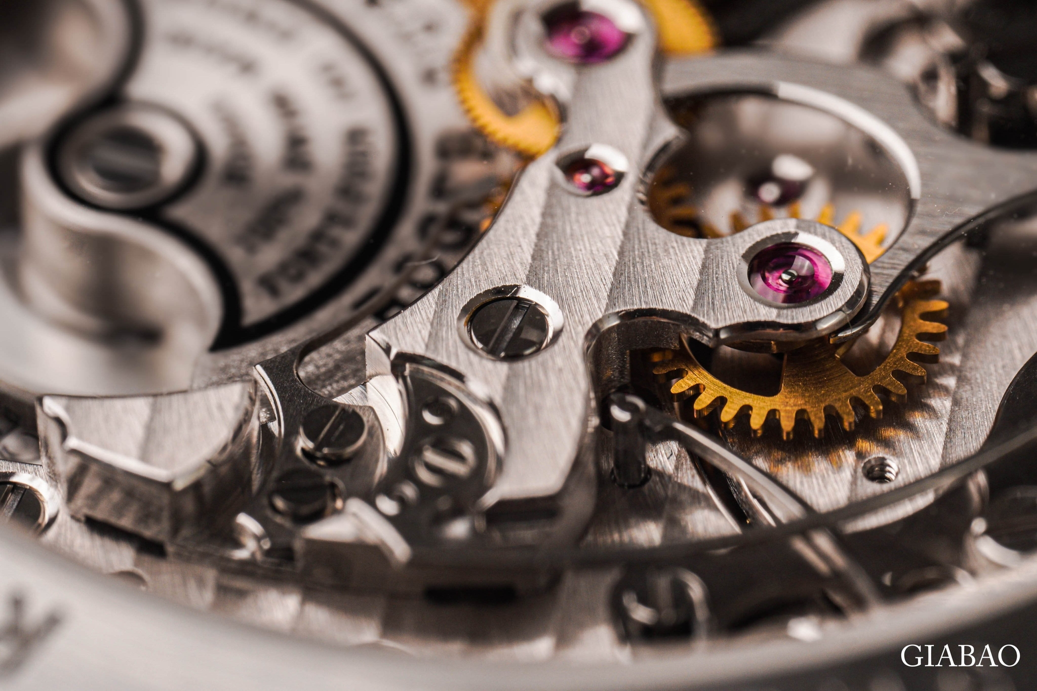 Cận cảnh cầu máy, bánh răng và chân kính của Roger Dubuis La Monégasque DBMG0005