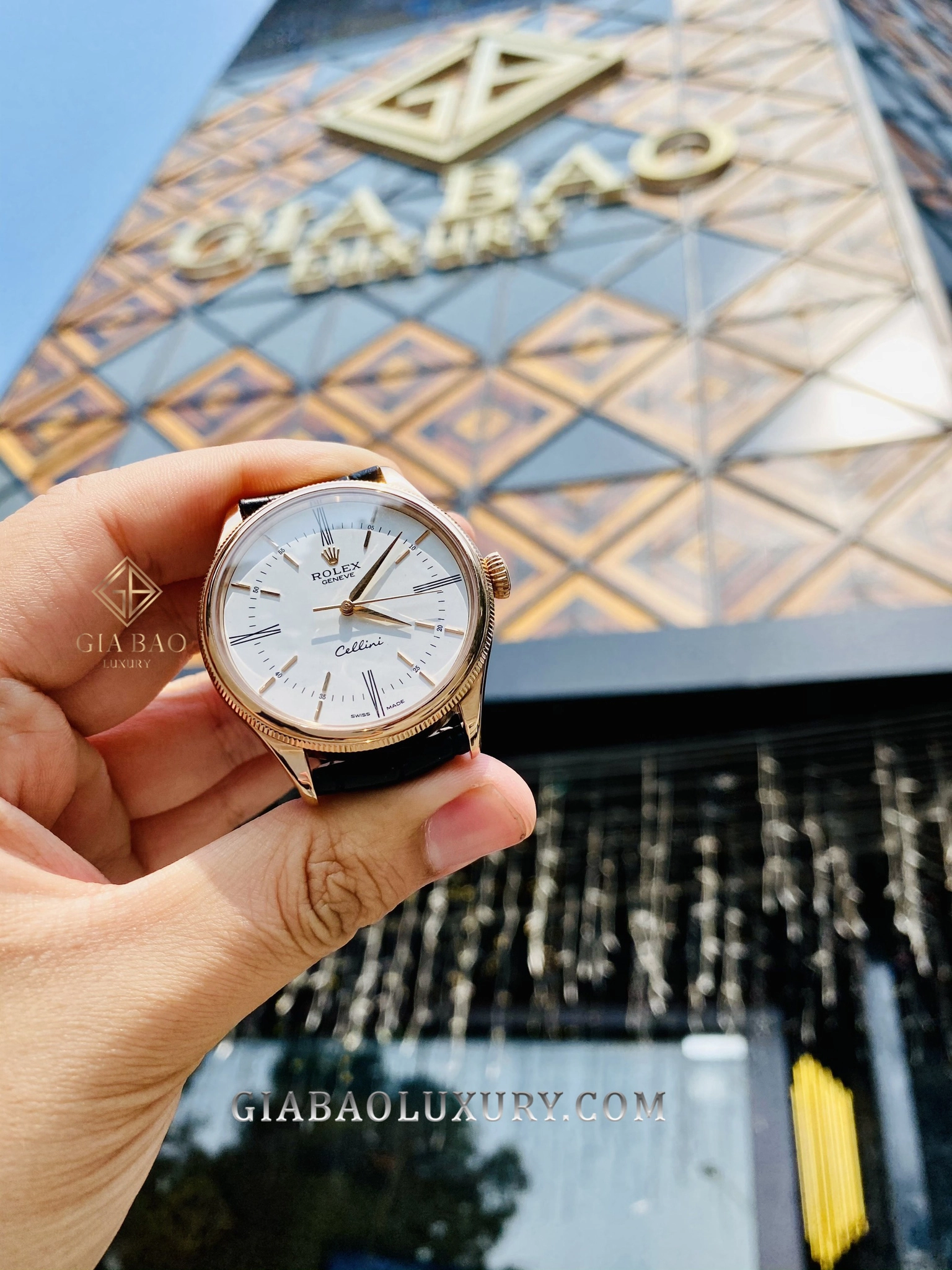 Rolex Cellini Time 50505: ba kim trong vỏ Everose: Cellini Time 50505 được cầm trên tay