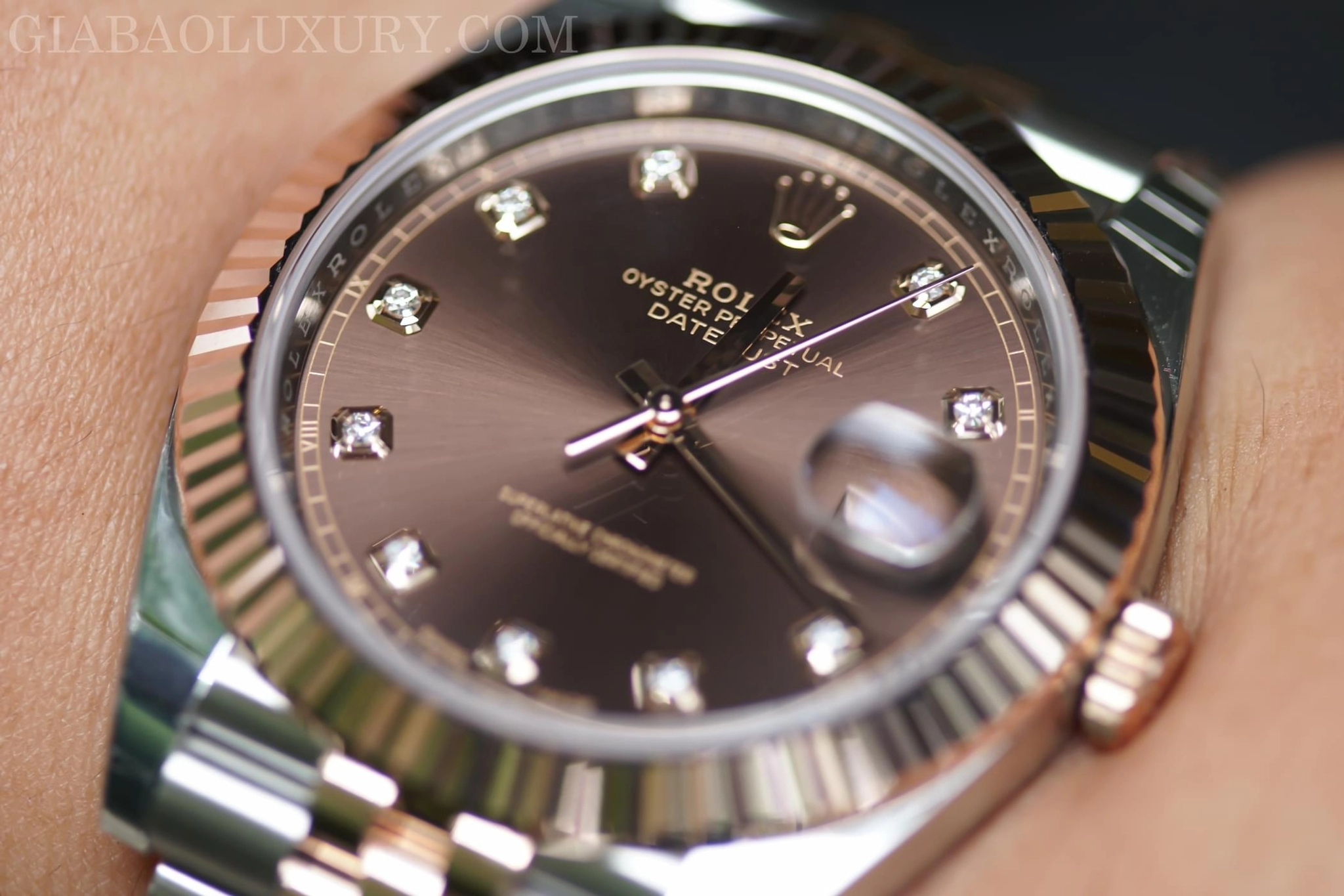 Rolex Datejust 41 126331 mặt chocolate: Everose Rolesor — ảnh chi tiết 17