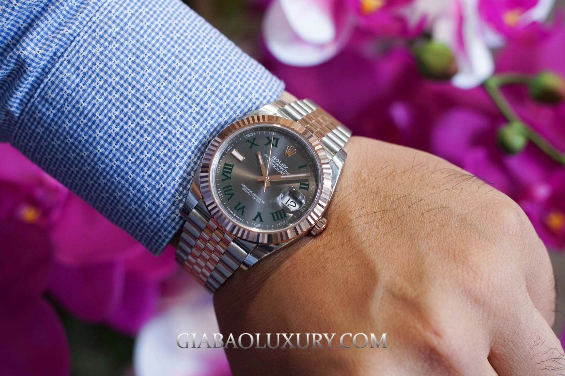 Rolex Datejust 41 mặt “Wimbledon”: 126331 và 126334: Datejust 41 mặt Wimbledon trên cổ tay