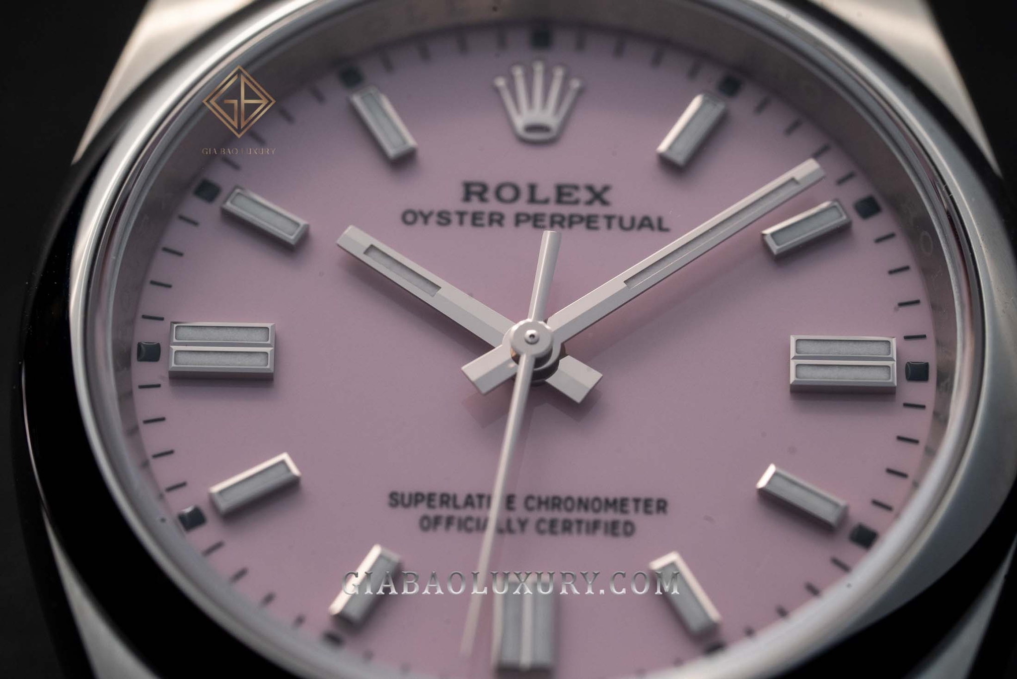 Rolex Oyster Perpetual 36 Ref. 126000 mặt hồng: Mặt số Candy pink và cọc giờ Chromalight