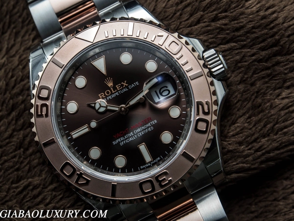 Rolex Yacht-Master 116621: Rolesor Everose trên dây Oyster