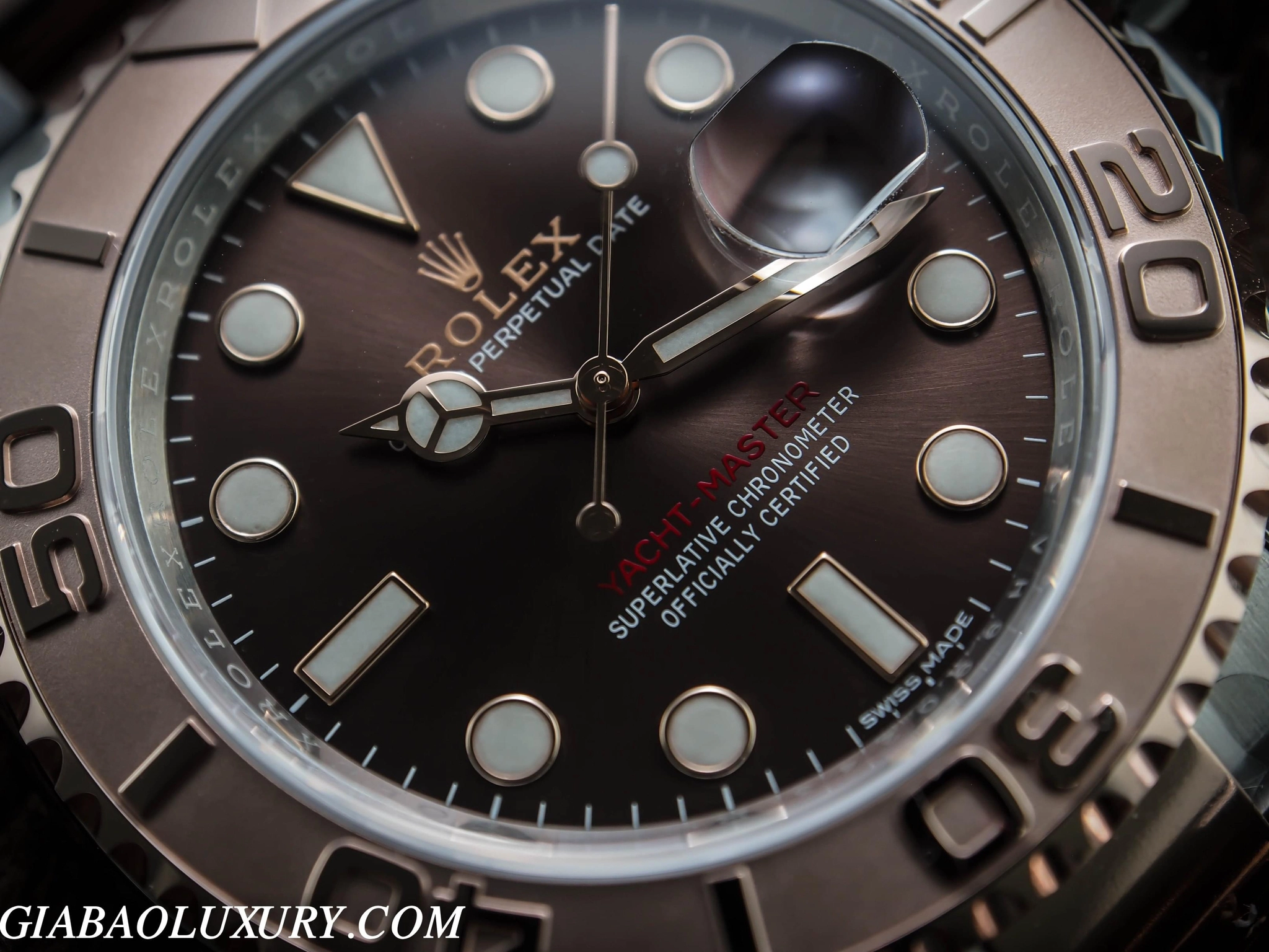 Rolex Yacht-Master 116621: Rolesor Everose trên dây Oyster — ảnh chi tiết 02