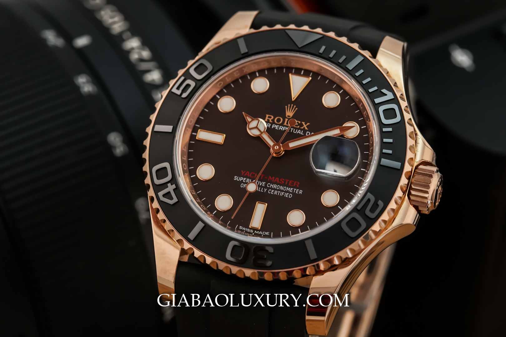 Rolex Yacht-Master 116655: Everose và dây Oysterflex: toàn cảnh Yacht-Master 116655