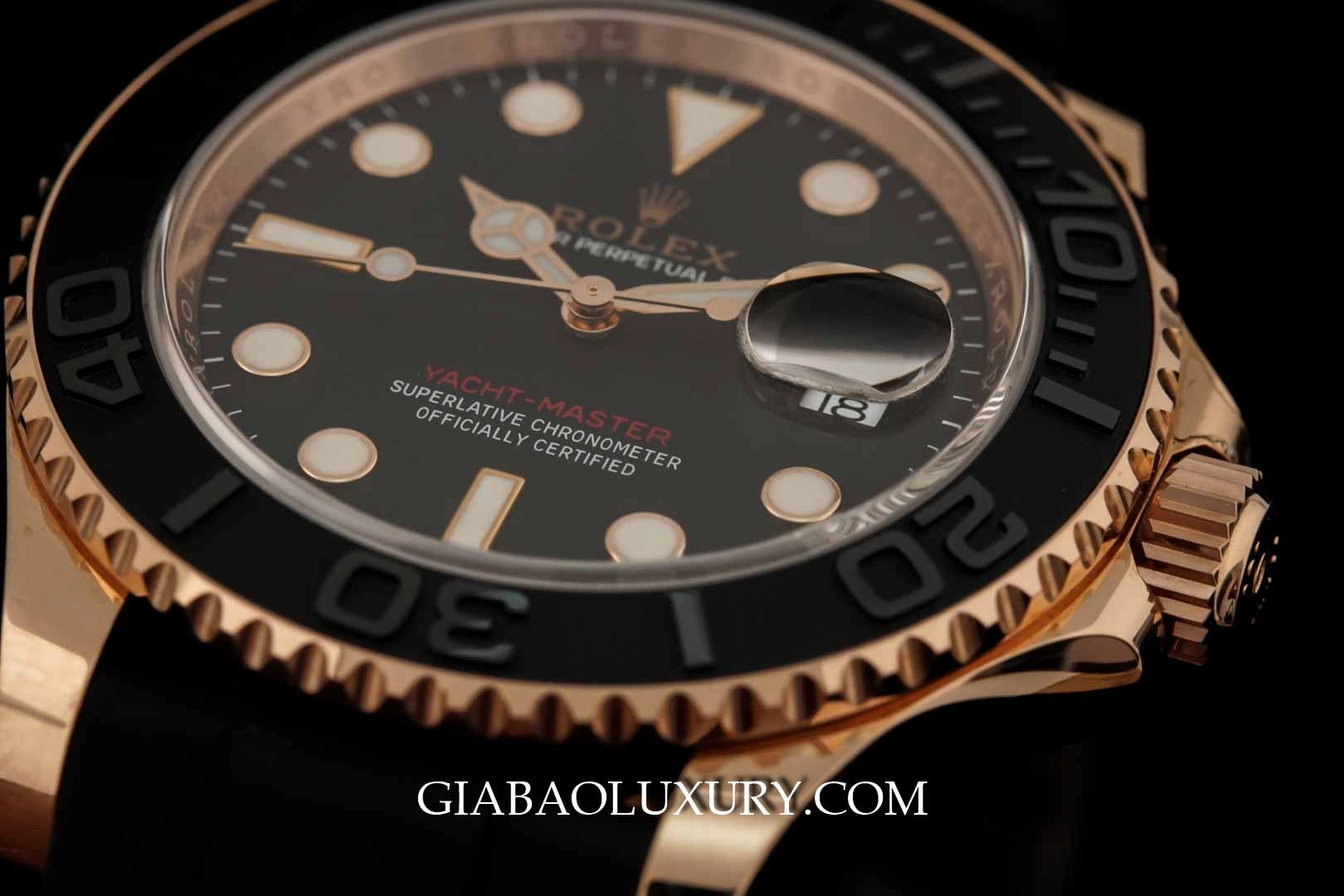 Rolex Yacht-Master 116655: Everose và dây Oysterflex: mặt số đen và vành Cerachrom số nổi