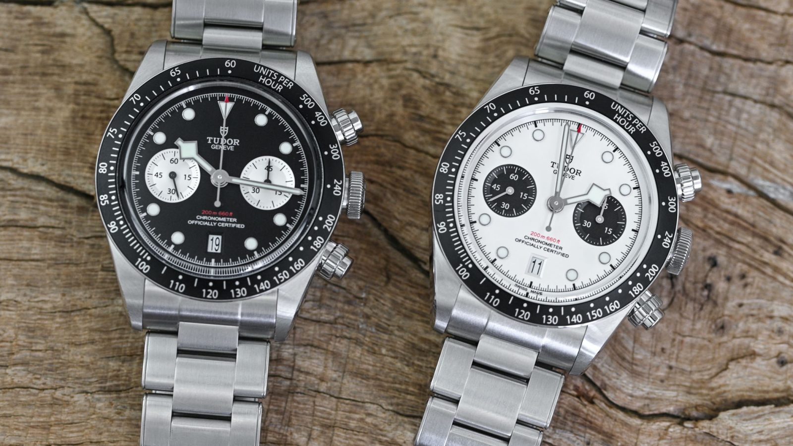Tudor Black Bay Chrono 79360N: hướng dẫn chọn đúng