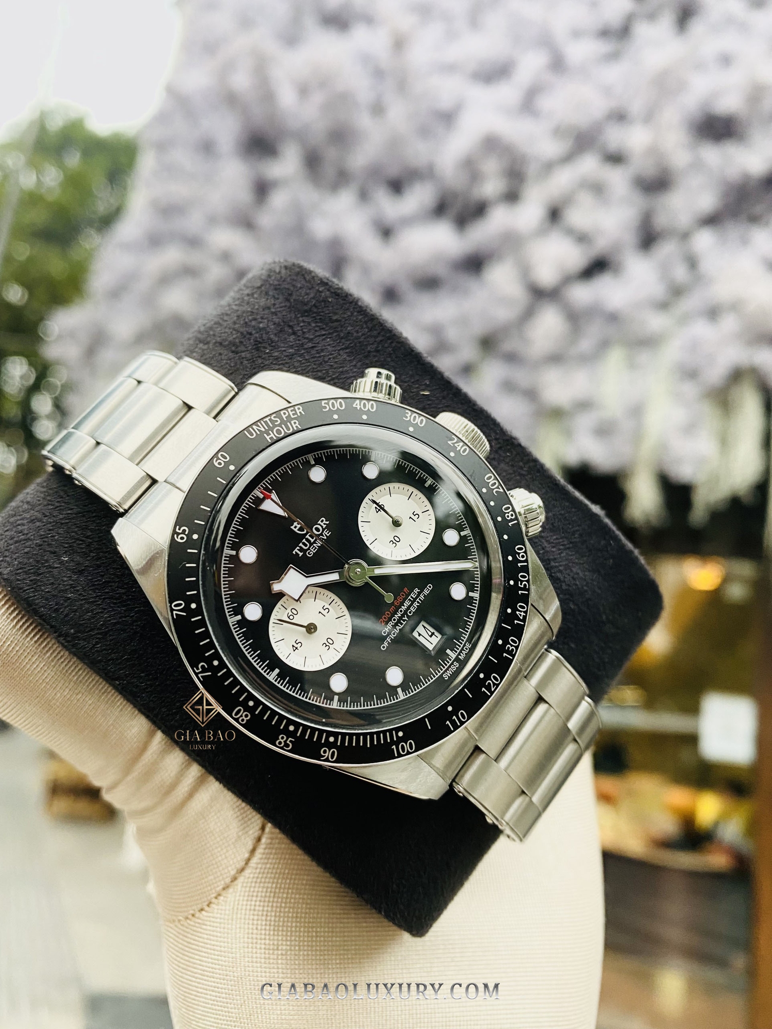 Khóa và mắt dây thép Tudor Black Bay Chrono 79360N