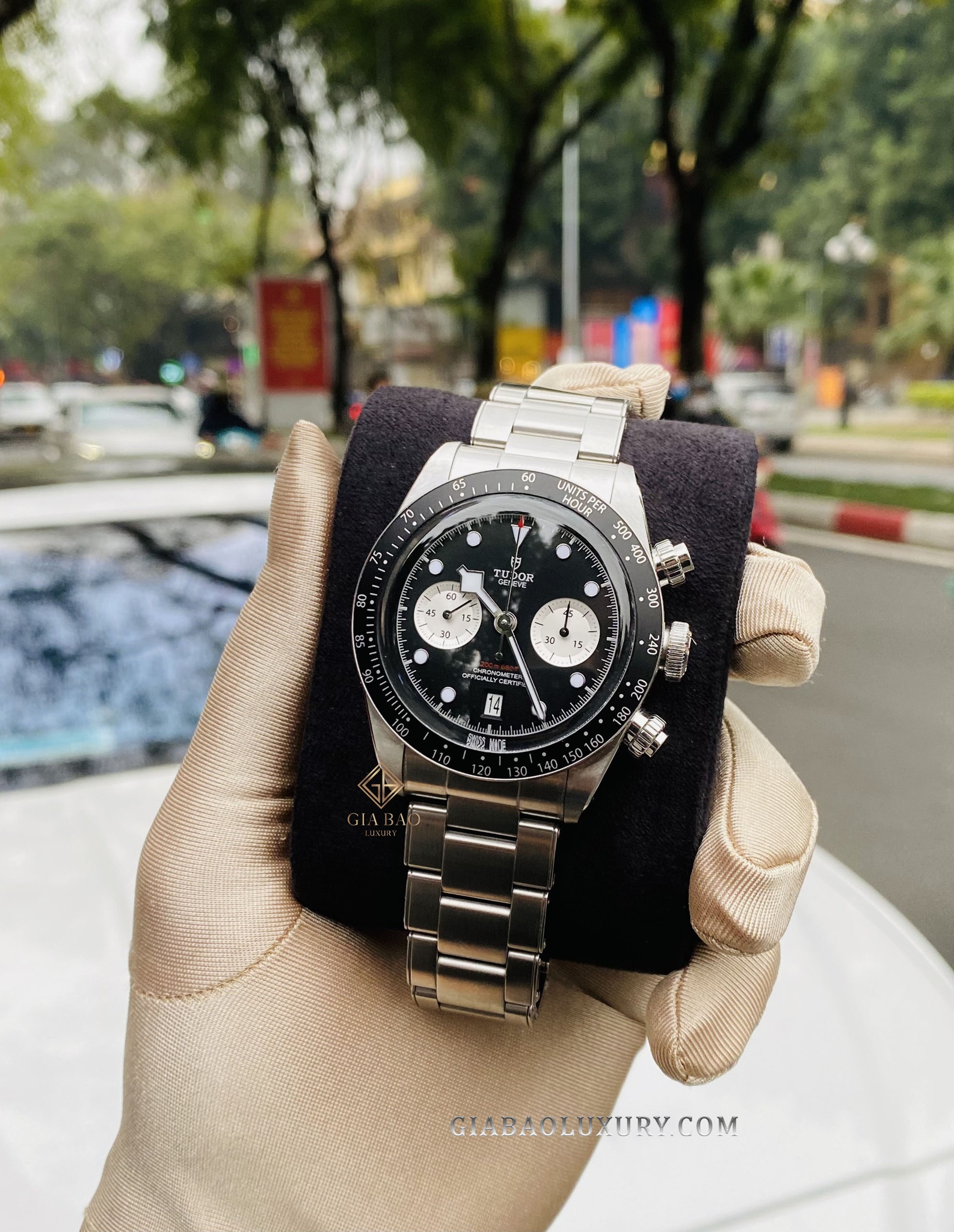 Núm chỉnh và nút bấm vặn xuống của Tudor Black Bay Chrono