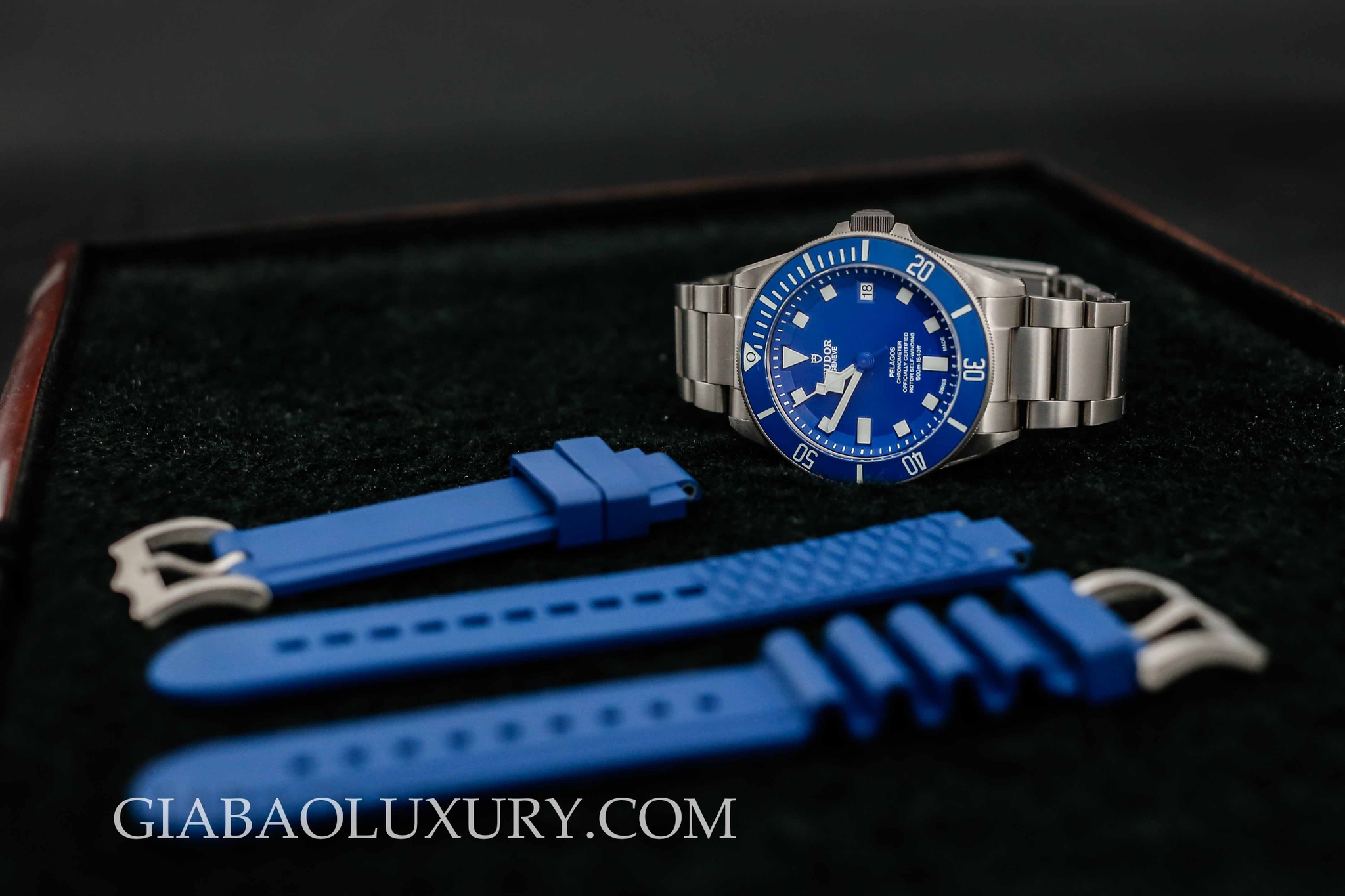 Tudor Pelagos 25600TB cùng dây cao su xanh