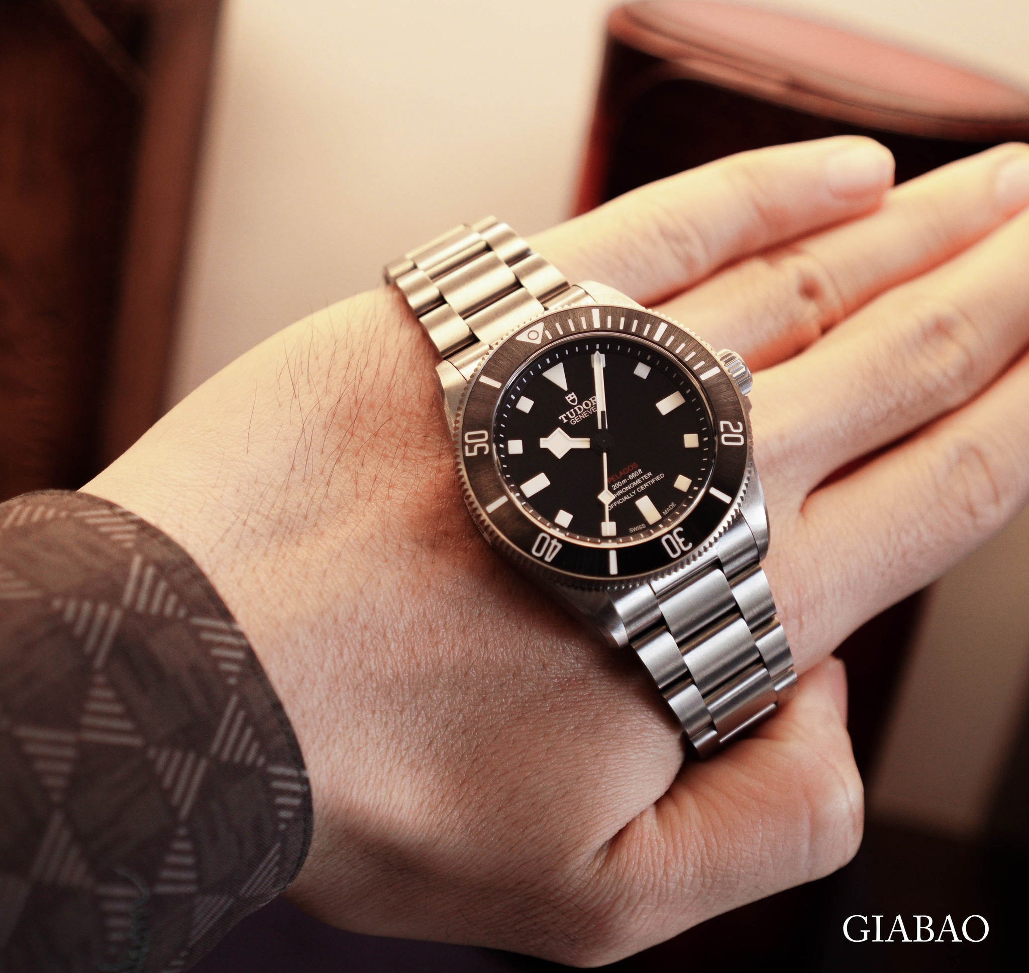 Tudor Pelagos 39 trên cổ tay cho thấy tỷ lệ vỏ và dây titan