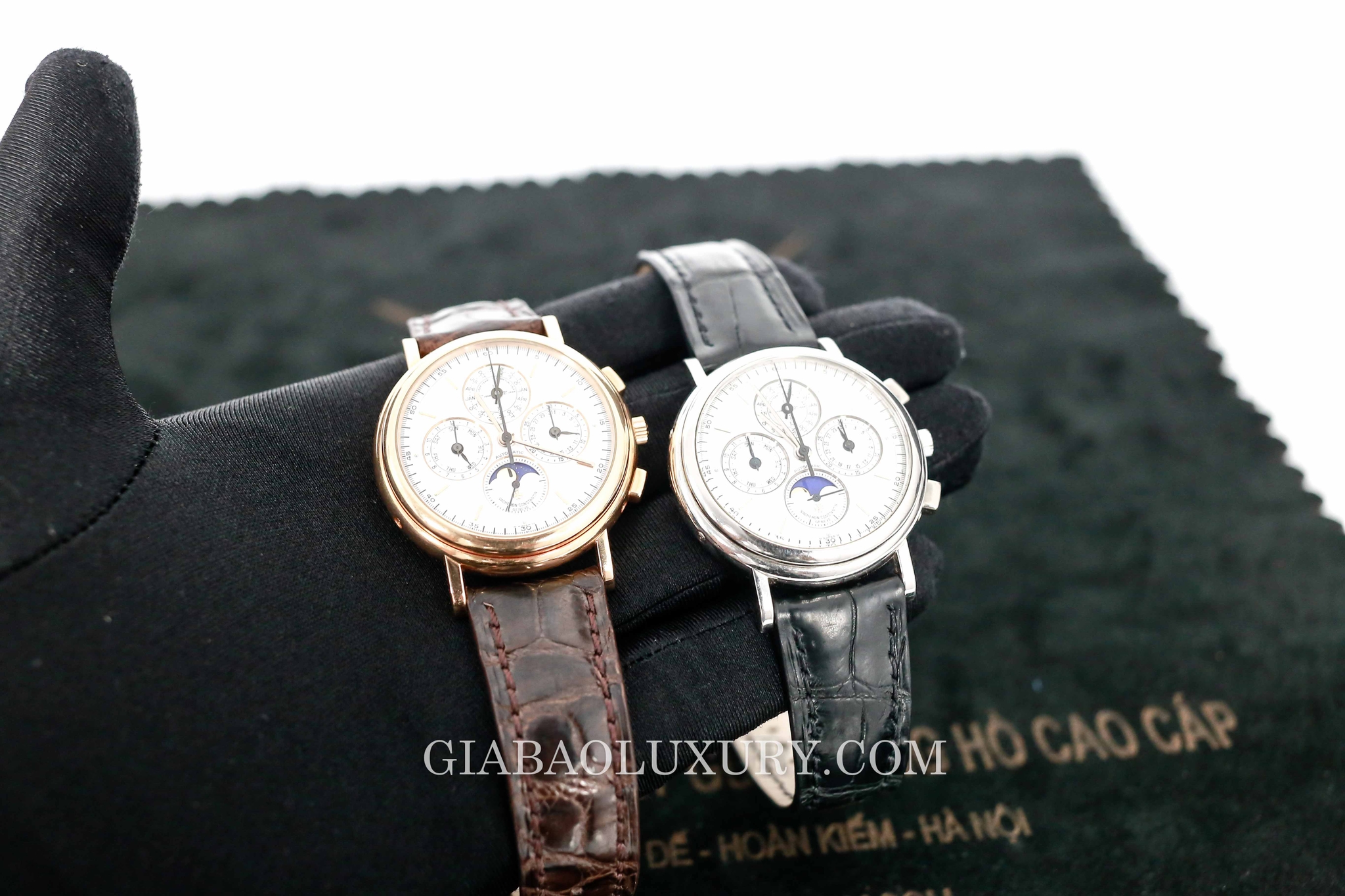 Vacheron Constantin Ref. 49005 vàng hồng và platinum trên tay
